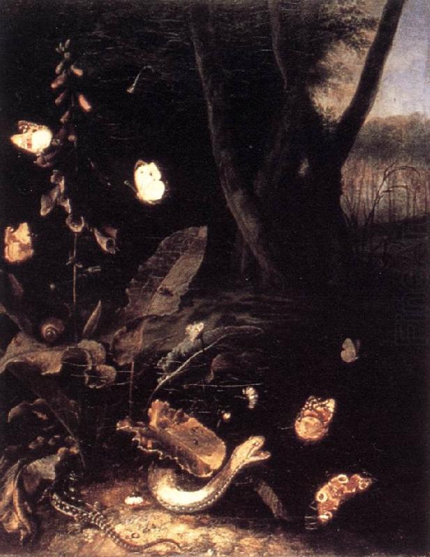 Still-life with Plants and Reptiles ery, SCHRIECK, Otto Marseus van